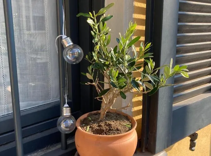 Daire Squisito In Stabile Vecchia *