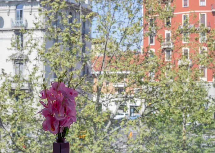 Sunshine Raggio Di Sole