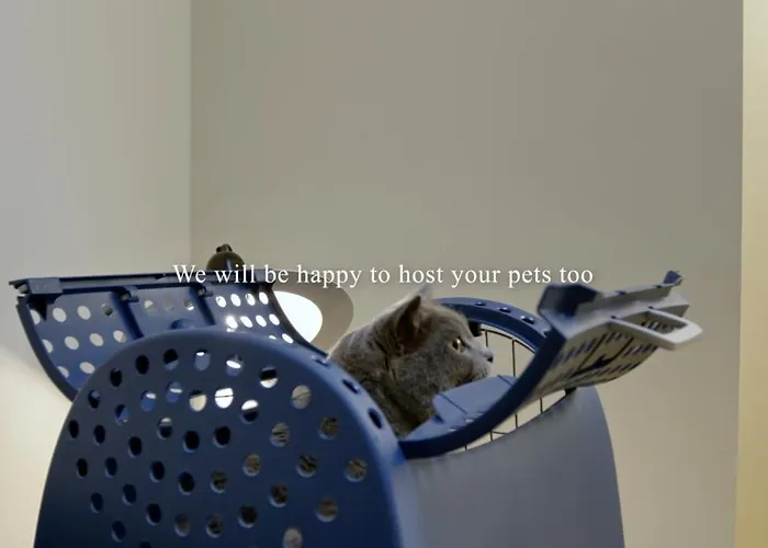 Sant'ambrogio Apartments, Reception H24 *