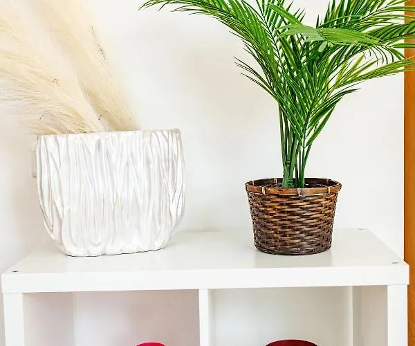 Apartment Sunshine Raggio Di Sole