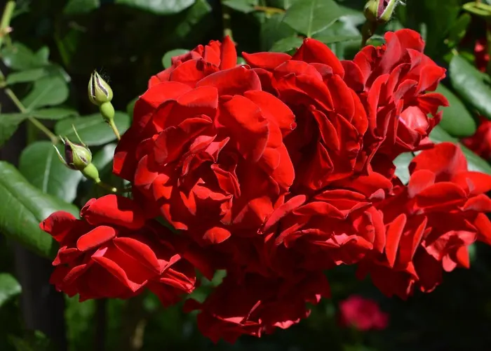 Design District- Navigli Mini Via Tortona 66 Apartment