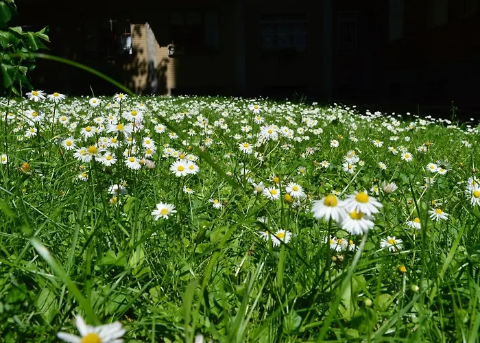 Design District- Navigli Mini Via Tortona 66 Apartment