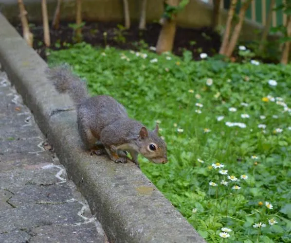 Design District- Navigli Mini Via Tortona 66