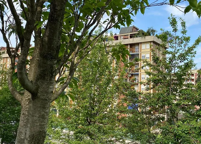 Bicocca Rino