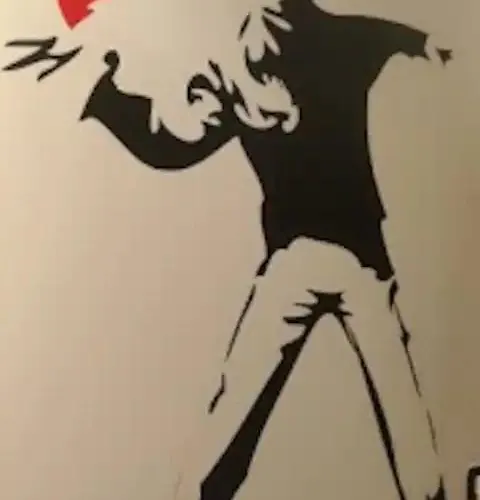 בית הארחה Floris *