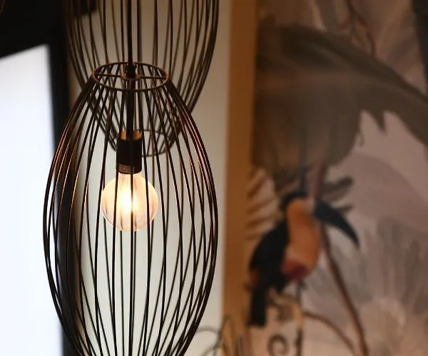 Experience - Jungle * Milano