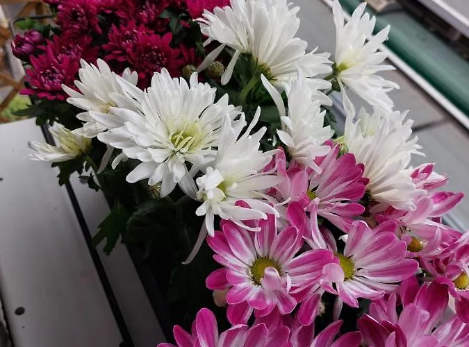 Garibaldi Station - L' Isola Che C'e - 12 Mins To Rho Fiera Apartmán