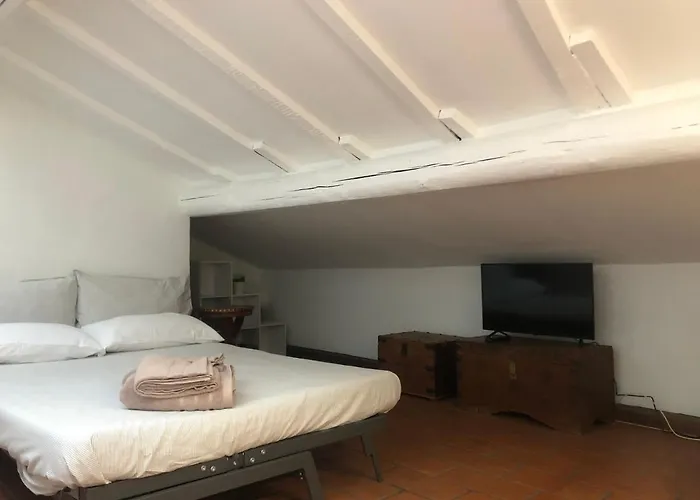 Il Tetto Fiorito Dell'isola *