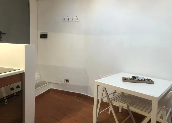 Il Tetto Fiorito Dell'isola *