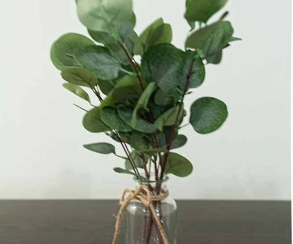 Bnbutler - Pergolesi, 6 - Accogliente E Moderno A Due Passi Da Tutto Appartement Milaan