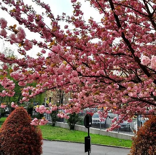 San Siro Arty And Cute - Con Bagno Privato Milán