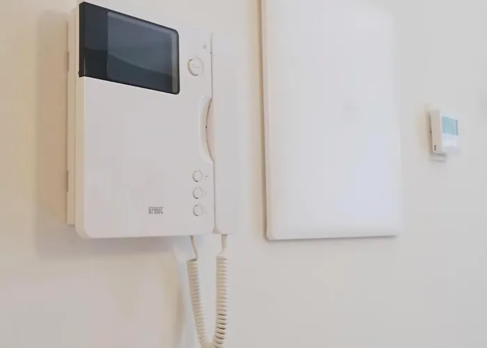 Oreaspiti - Not Only A In Magenta Quarter