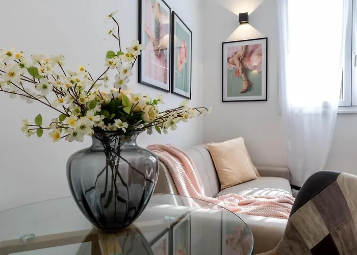 Hostmate - - Disciplini - Duomo