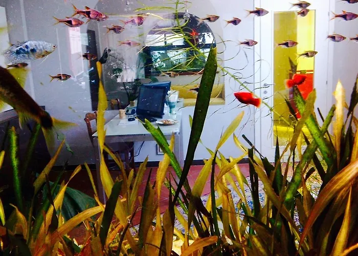 Ai Due Orsi Gasthof 3*