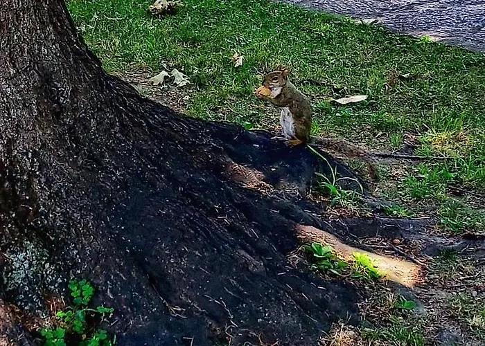 Ubytování v soukromí San Siro Arty And Cute - Con Bagno Privato Milán