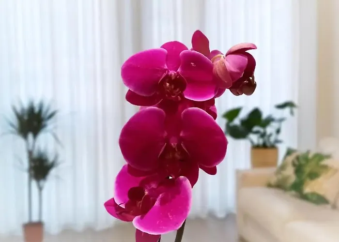 Duomo Cathedral * Milan