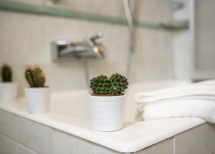 Apartamento Homy Altaguardia *