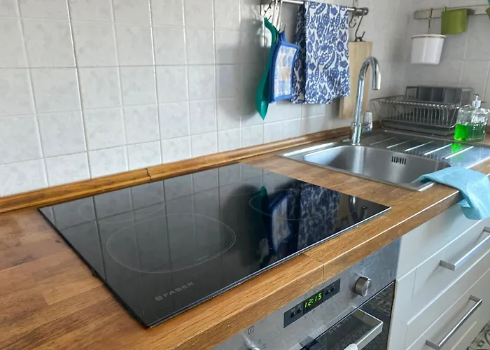 Daire Bicocca Rino Milano