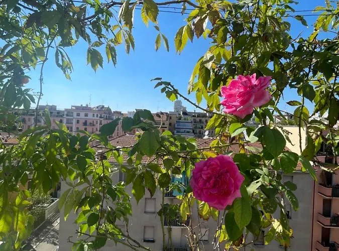 בית הארחה Flowers 3*