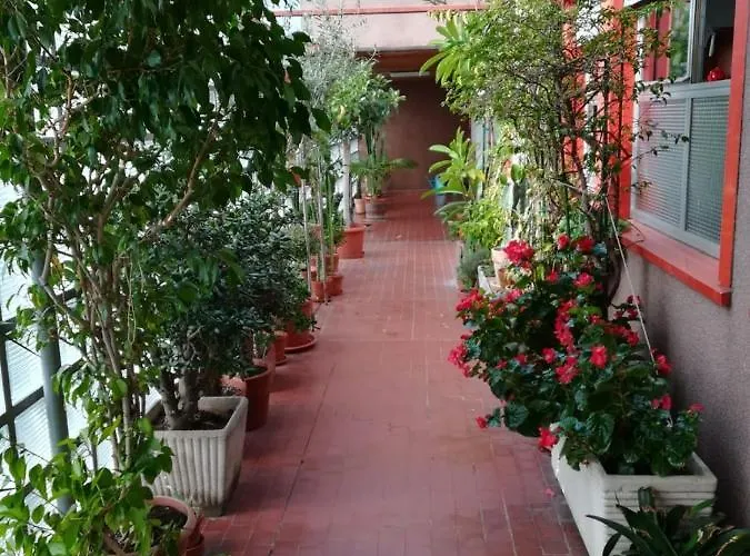 Alessandra 밀라노