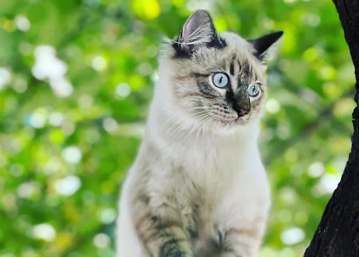 Paradiso Отель Милан