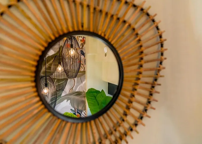 Experience - Jungle Appartamento