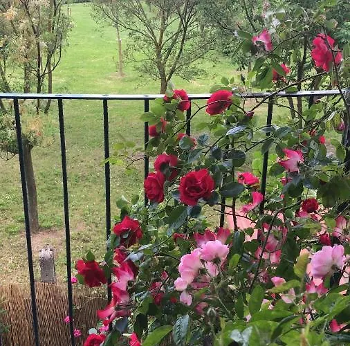 With Terrace And Loft With Garden In Naviglio Pavese Gasthof