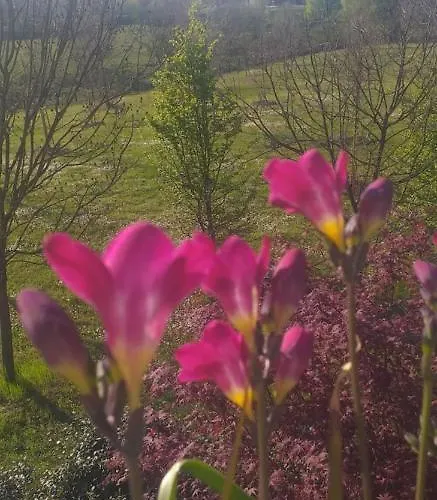 Gasthof With Terrace And Loft With Garden In Naviglio Pavese *