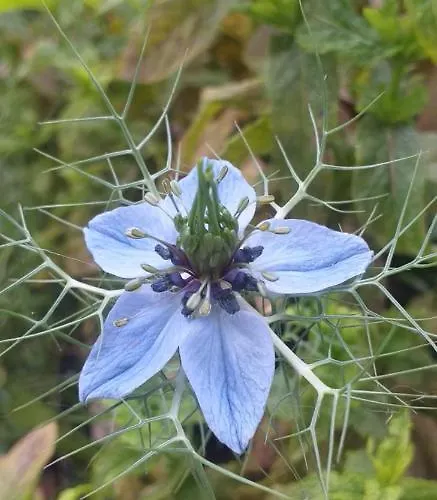 With Terrace And Loft With Garden In Naviglio Pavese * Mailand