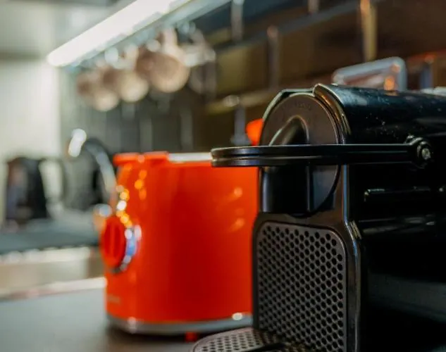 Experience - Jungle Appartamento