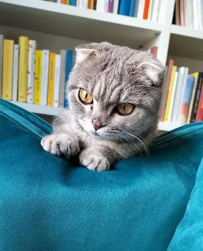 Stanza In Zona Solari In Incantevole Gasthof