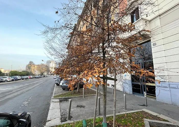 The Small White House In *