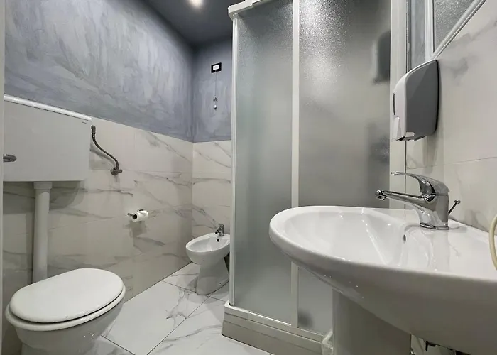 Lion University&youth 2 *