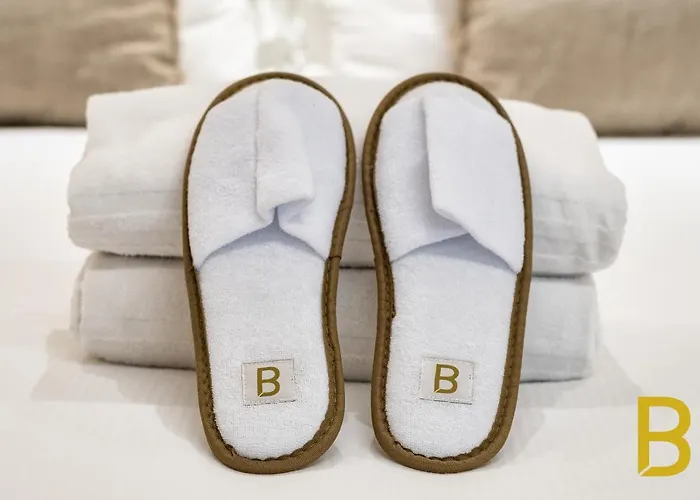 Appartement Beplace In Porta Venezia Milaan