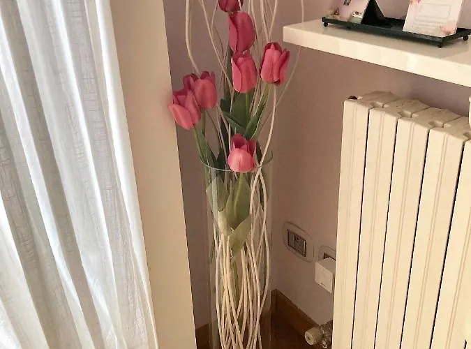 Squisito In Stabile Vecchia