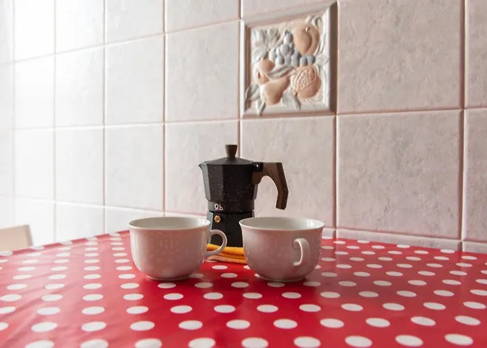 Youhosty - Boifava 48 *