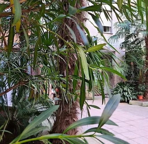 Daire C&c - Cozy And Cute *