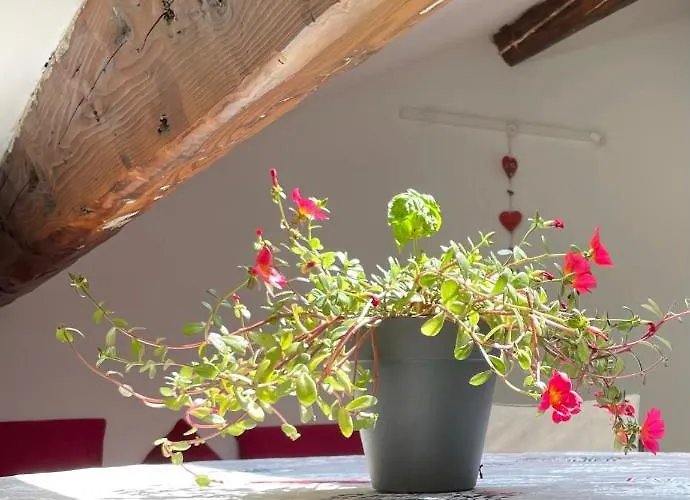 Delizioso Attico Privato, Comfort, Cool. דירה *