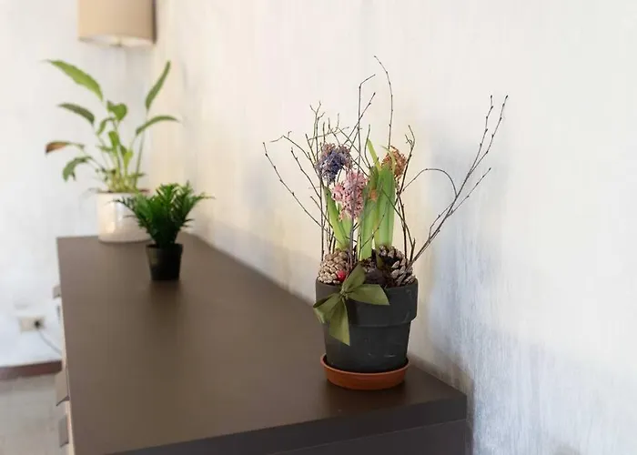 Casemi - Paracelso1 In Centro Apartment