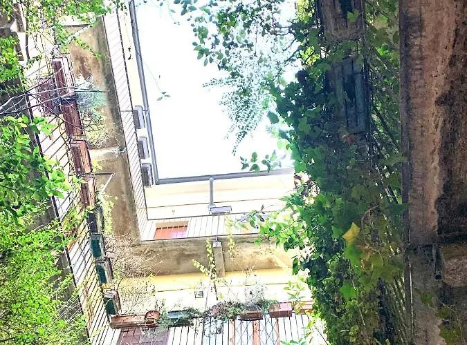 Canal View Historical