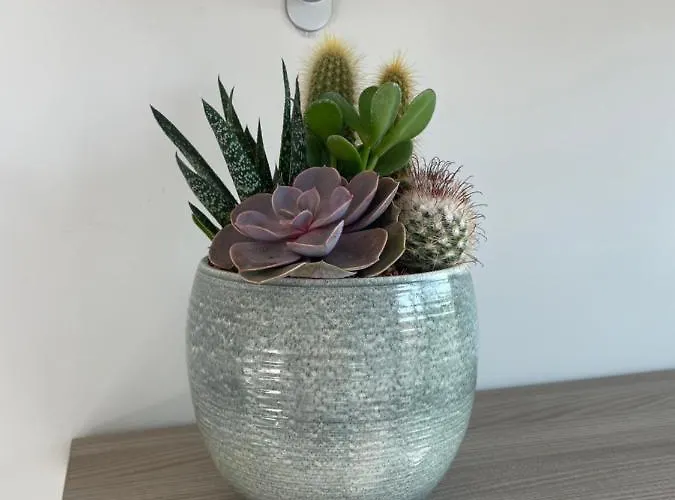 Suitesettepesciolini - Casa Zoe * Milano