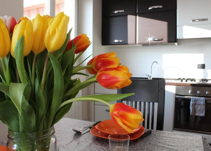 View Living Appartamento