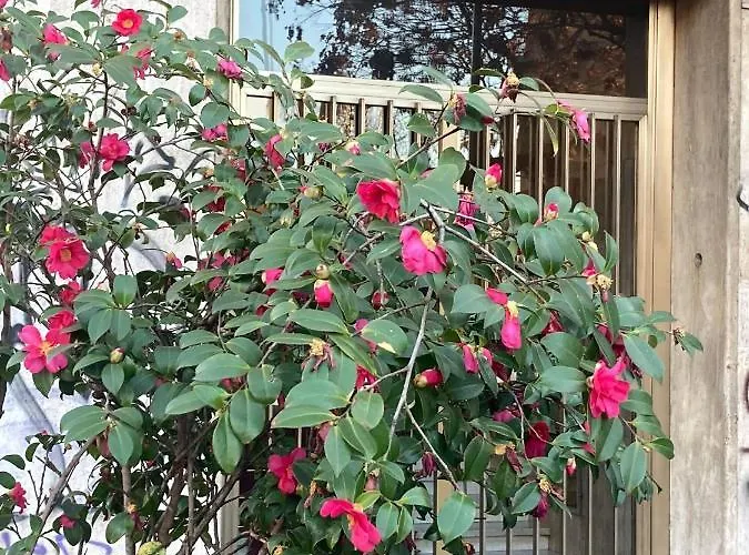 City House Viale Murillo Milán