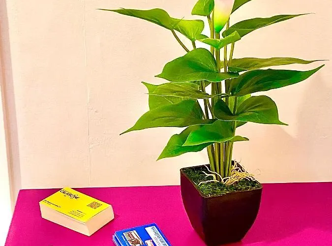 Cosy And Lovely Flat With View On Nature Апартаменты