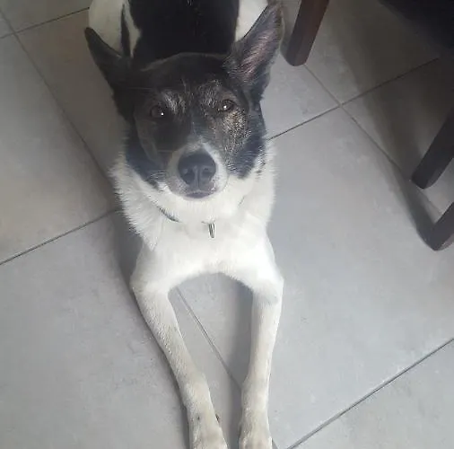 Stanza In Con Giardino Alloggio in famiglia