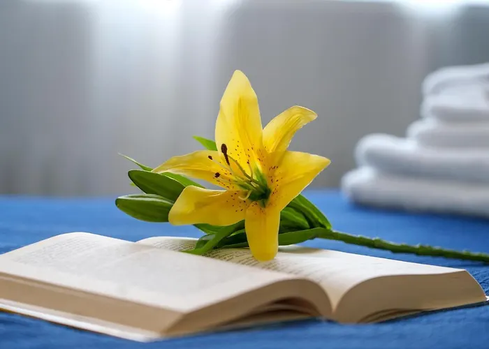 Rent - Amazing - Pta Venezia * Милан