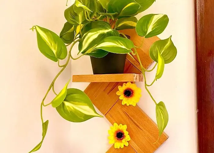 Cosy And Lovely Flat With View On Nature Апартаменты Милан