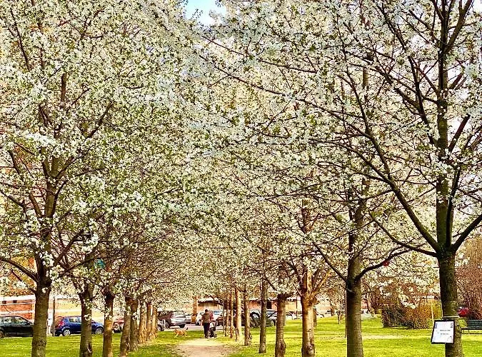 Cosy And Lovely Flat With View On Nature