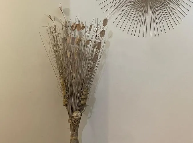 City House Viale Murillo *