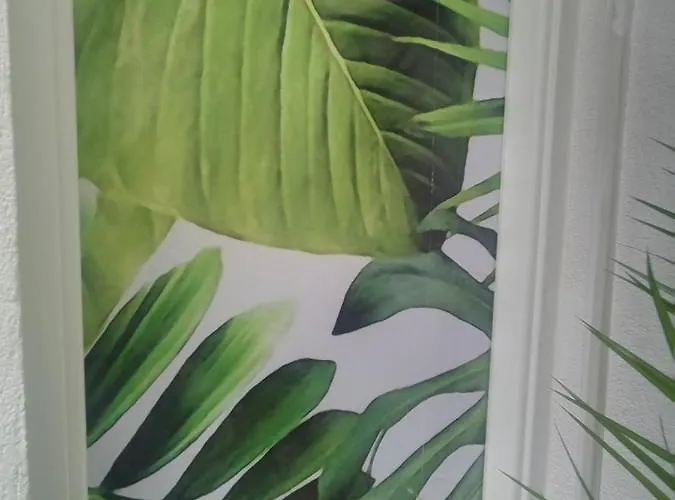 בית הארחה Floris